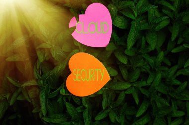 El yazısı Cloud Security. Çevrimiçi olarak depolanan verilerin çalınması ve silinmesi anlamına geliyor. Açık Doğa Yaprak Fabrikası Bush 'un Üzerinde Kalp Şekli Kağıt..