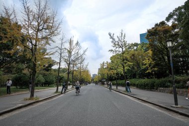 Güzel bir günde Osaka Japonya 'da temiz bir park