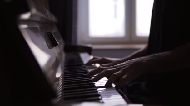 Close-up of pianists hands professionally play the piano — Stock Video