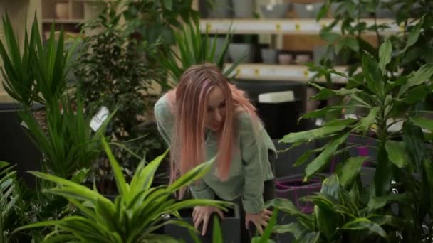 Donna che sceglie piante al mercato dei fiori nel negozio di giardinaggio — Video Stock