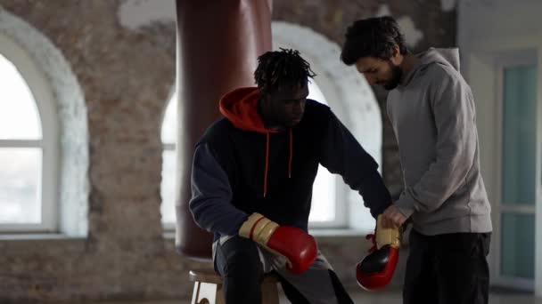 Assistant hjälpa till att sätta på boxningshandskar till en manlig idrottsman — Stockvideo