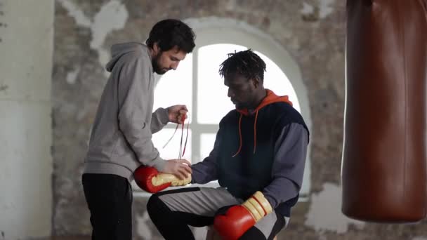 Assistente ajudando a colocar luvas de boxe para um atleta masculino, amarrar um laço — Vídeo de Stock