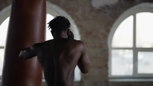 Entraînement sans chemise de boxeur masculin au studio de boxe avec les mains enveloppées, vue arrière — Video