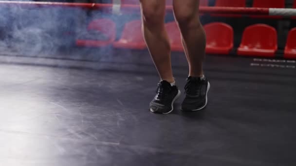 Detailní záběr na nohy mladé feny - boxer skákání na švihadlo na kroužku — Stock video