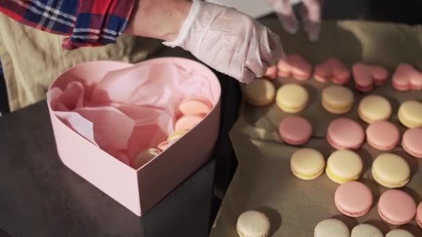 Αγνώριστη γυναίκα βάζει μακαρόνια σε κουτί δώρου στην κουζίνα — Αρχείο Βίντεο