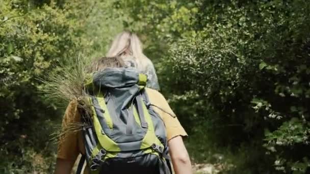 Ζευγάρι backpackers περπάτημα από δάση παχύ μονοπάτι δέντρα, πίσω όψη — Αρχείο Βίντεο