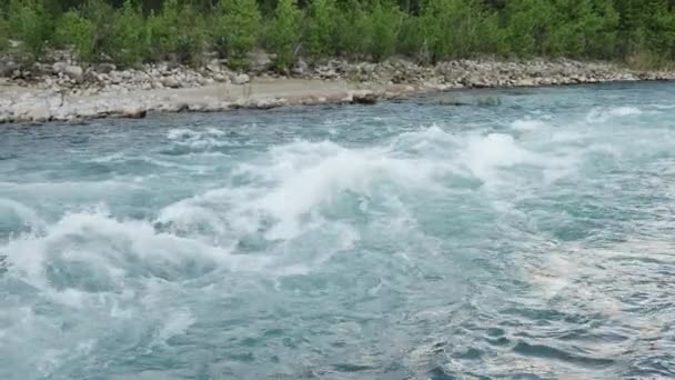 Bela vista do rio da montanha rápido fluxo de água e rochas, natureza selvagem — Vídeo de Stock