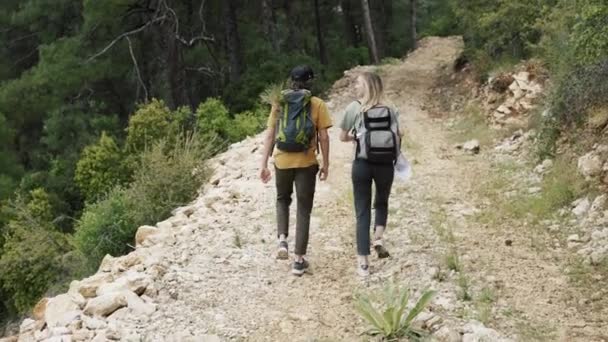 Ένα ευτυχισμένο ζευγάρι backpackers περπάτημα από δάση βραχώδες μονοπάτι, πίσω όψη — Αρχείο Βίντεο