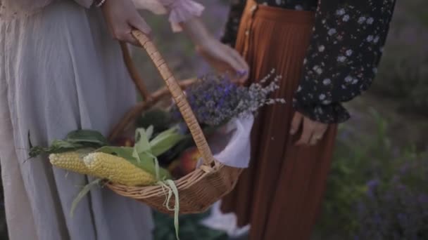 Dwie nierozpoznawalne kobiety stojące na polu lawendy z koszykiem jedzenia i kwiatów — Wideo stockowe