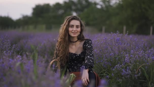 Piękna młoda kobieta nosi stylową sukienkę i siedzi na fioletowym lawendowym polu — Wideo stockowe