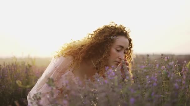 Una mujer con el pelo rizado observa la belleza de un campo de lavanda en flor — Vídeos de Stock