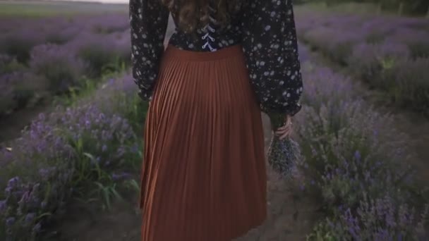 Vista trasera de una mujer en vestido sosteniendo cesta con flores de lavanda que viene a su amigo — Vídeo de stock