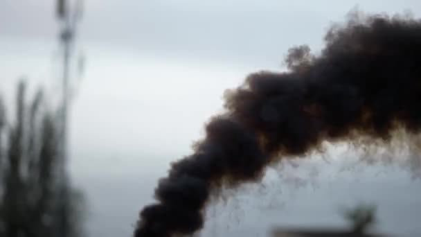 Человек держит черную дымовую шашку прямо перед морем — стоковое видео