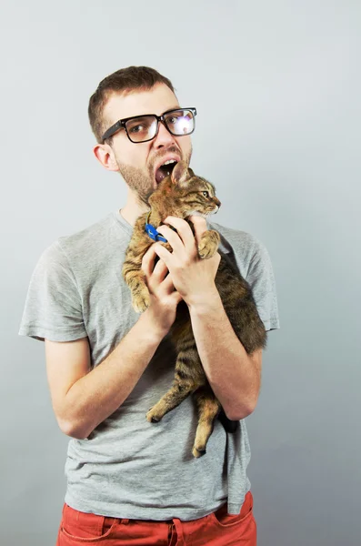 Young man eating a cat — Stock Photo, Image