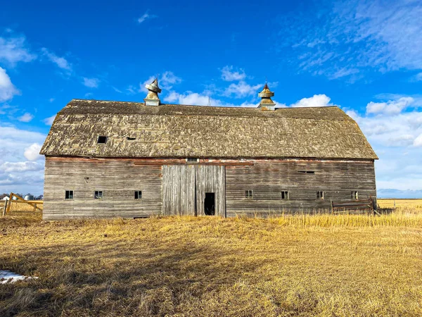 Majestueuze Lang Verlaten Veestapel Staat Nog Steeds Hoog — Stockfoto