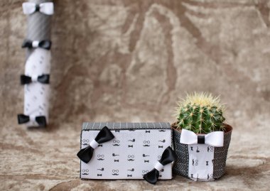 Kahverengi arka planda hediyeleri ve kaktüsleri olan hoş bir kompozisyon.