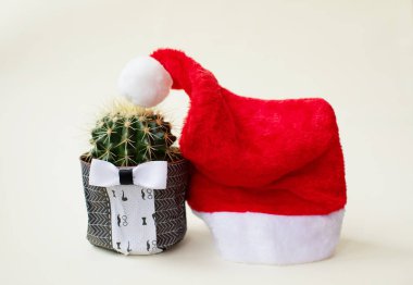 Beyaz arka planda kaktüs olan Noel Baba şapkası.