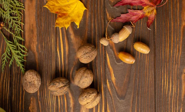 Walnuts Acorns Wooden Background — Stock Photo, Image