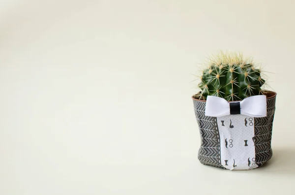 Cactus Sobre Fondo Blanco Con Espacio Para Copiar —  Fotos de Stock