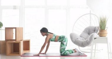 Konsantre olmuş ince, siyah kadın kalas egzersizi yapıyor. Kendinden emin Afro-Amerikan sporcu kadın eğitiminin portresi..