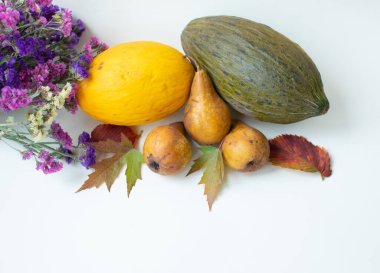 Sonbahar, bal kabakları ve yapraklarla dolu bir hayat.