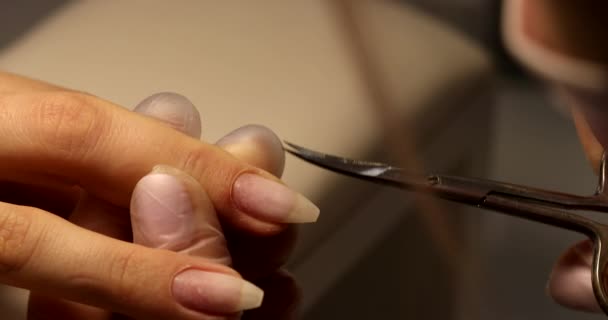 Μανικιουρίστα Κάνοντας Μανικιούρ Επαγγελματικά Εργαλεία Για Μανικιούρ Υπηρεσία Μανικιούρ Nails — Αρχείο Βίντεο