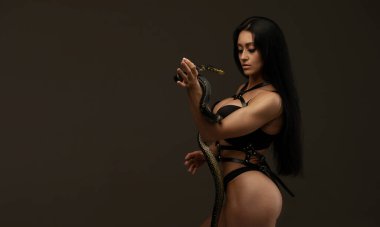 Koyu gri arka planda yılanla poz veren iç çamaşırlı seksi genç kadın.