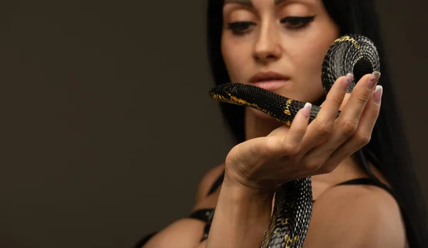 Sexy Mujer Joven Posando Con Serpiente Sobre Fondo Gris Oscuro —  Fotos de Stock