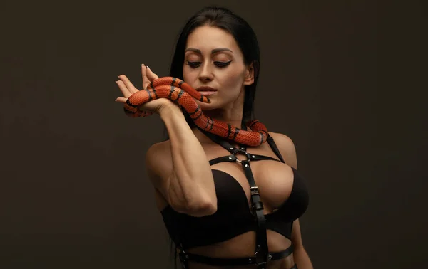 Schöne Sexy Junge Frau Unterwäsche Posiert Mit Schlange Auf Dunkelgrauem — Stockfoto