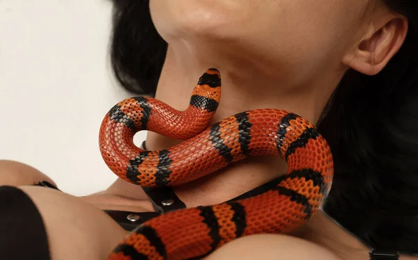 Attrayant Sexy Jeune Femme Posant Avec Serpent — Photo