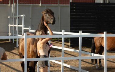 Genç bir kadın binicilik ve sürtünme atı olmaya hazırlanıyor.   