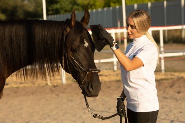 Genç bir kadın ata binmeye hazırlanıyor, ona bakıyor ve at fırçalıyor.   