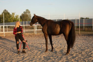 Kırmızı kareli gömlekli çekici genç kadın çiftçi atıyla, insanlar ve hayvanlar arasındaki aşk kavramı