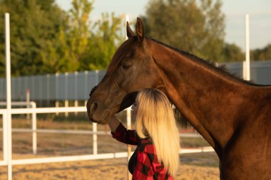 Kırmızı tişörtlü genç bir çiftçi atına sarılıyor. İnsanlar ve hayvanlar arasındaki aşk kavramı.