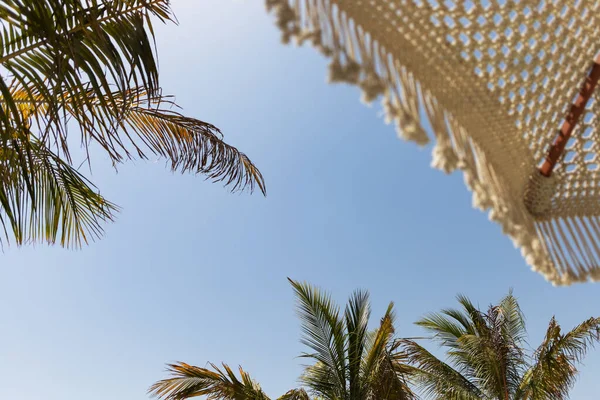 Guarda Chuva Praia Palmeiras Fundo Céu Azul Tempo Ensolarado Imagem De Stock