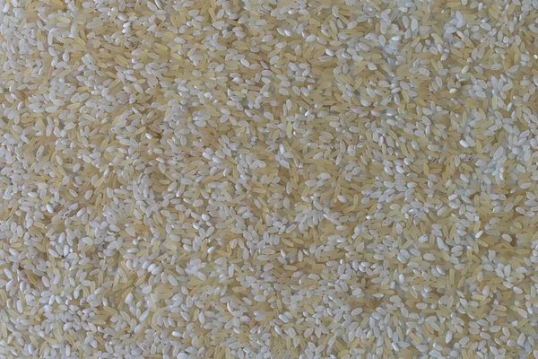 短い粒白と茶の米の背景フラットレイ — ストック写真