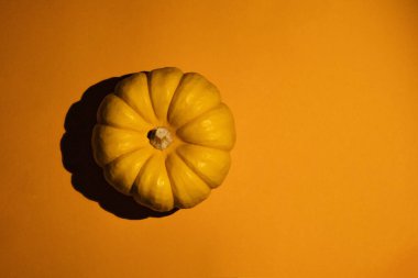 Fotokopi alanı olan turuncu bir zemin üzerinde bir kabak, düz uzanır.