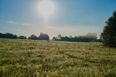 Bir yaz sabahı çimlerin üzerinde çiğ taneleri olan bir tarlaya yakın.