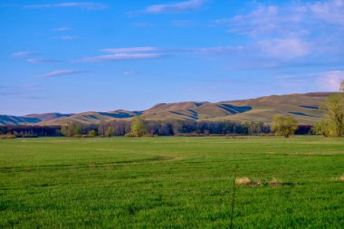 Güney Urallar 'ın bahar dağlarının manzarası güneşle aydınlanır.