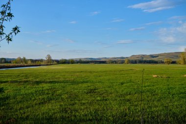Güney Urallar 'ın bahar dağlarının manzarası güneşle aydınlanır.