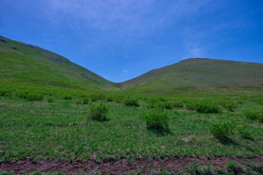 Güney Urallar 'ın bahar dağlarının manzarası güneşle aydınlanır.
