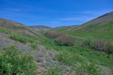 Güney Urallar 'ın bahar dağlarının manzarası güneşle aydınlanır.