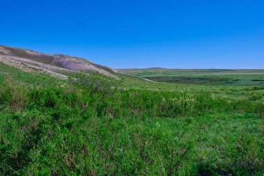 Güney Urallar 'ın bahar dağlarının manzarası güneşle aydınlanır.