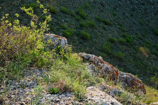 Güney Urallar 'ın bahar dağlarının manzarası güneşle aydınlanır.