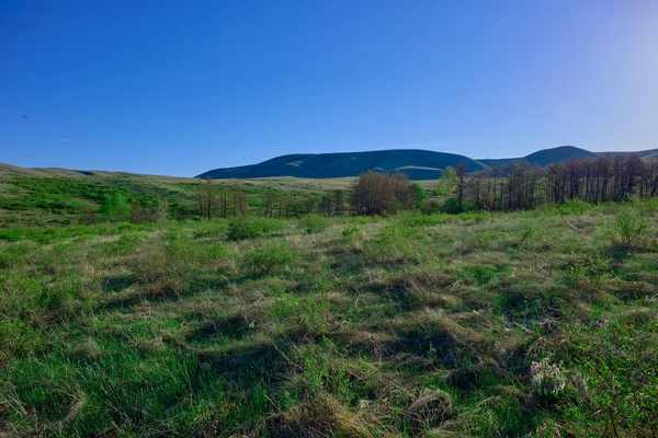 Güney Urallar 'ın bahar dağlarının manzarası güneşle aydınlanır.