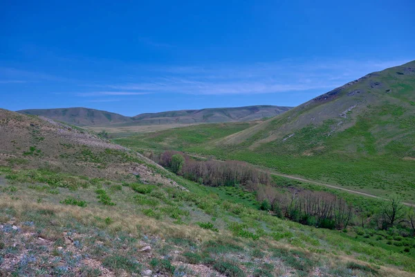 Güney Urallar 'ın bahar dağlarının manzarası güneşle aydınlanır.