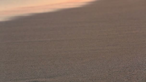沙滩上的脚印 — 图库视频影像