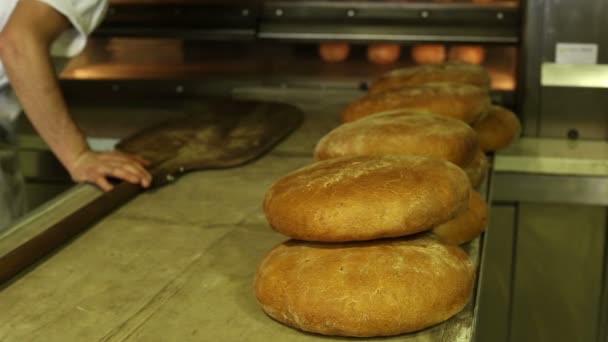 Nybakat bröd ur ugnen i ett bageri 4 — Stockvideo