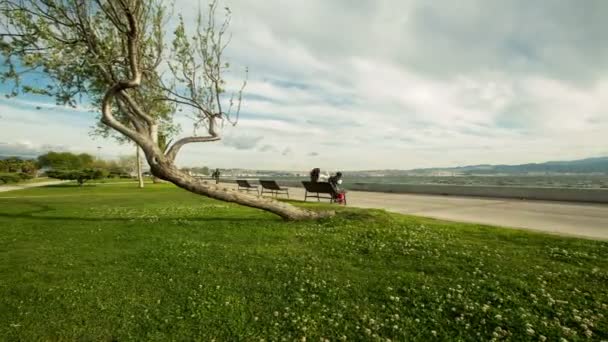 Regenwolken und Baum — Stockvideo