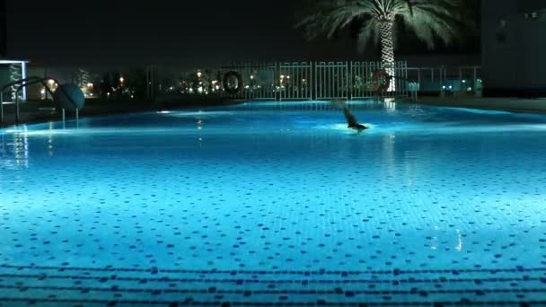 Frauen schwimmen in einem Luxus-Pool — Stockvideo